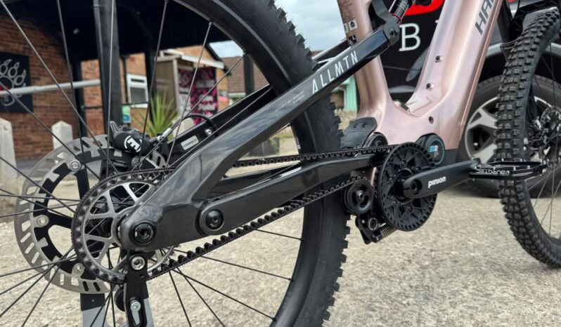 Haibike ALLMTN CF 11 TRN/IQ full