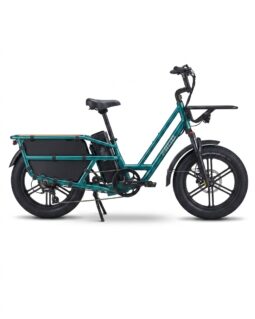 Fiido T2 Longtail Cargo E-Bike full