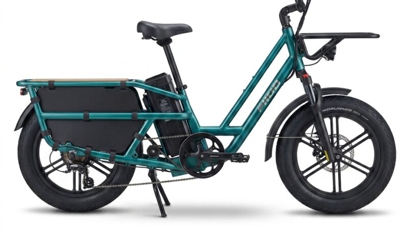 Fiido T2 Longtail Cargo E-Bike full