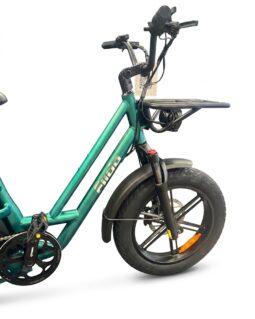 Fiido T2 Longtail Cargo E-Bike full
