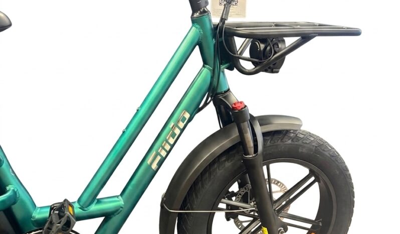 Fiido T2 Longtail Cargo E-Bike full