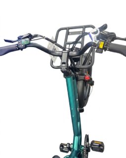 Fiido T2 Longtail Cargo E-Bike full