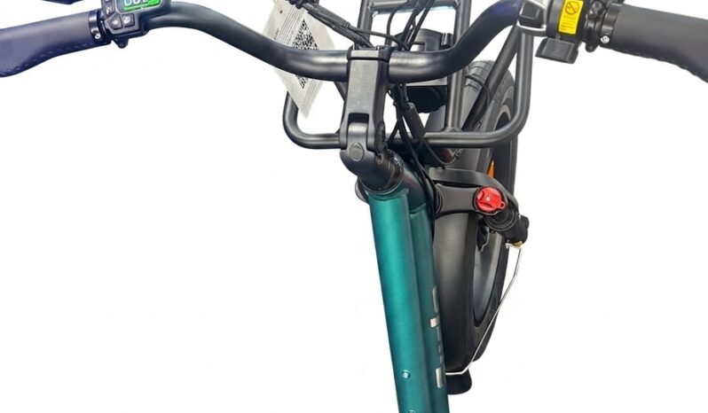 Fiido T2 Longtail Cargo E-Bike full