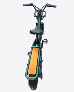 Fiido T2 Longtail Cargo E-Bike full