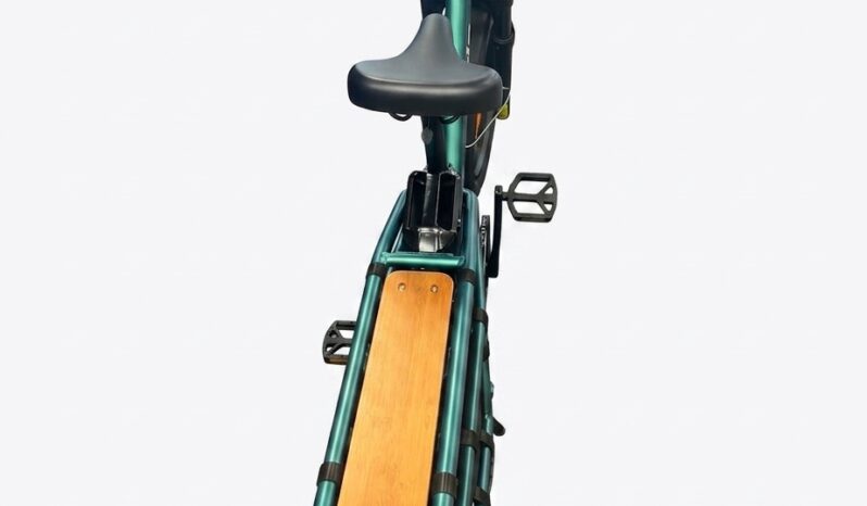 Fiido T2 Longtail Cargo E-Bike full
