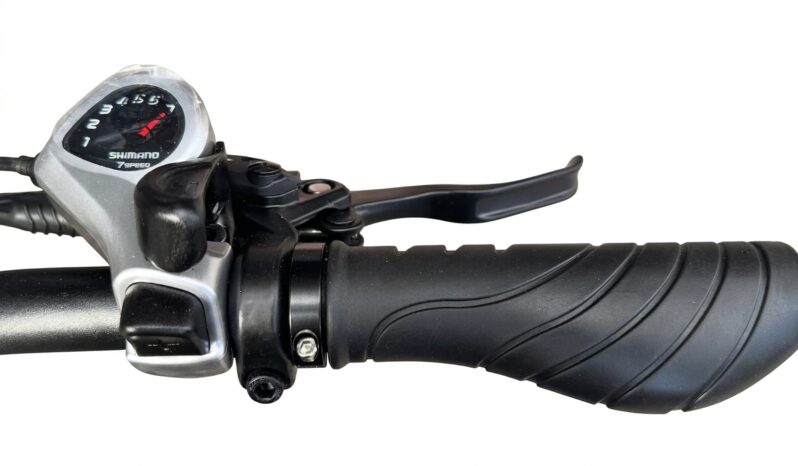 Allegro Long-Range Folding Fat-Tire E-Bike full