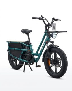 Fiido T2 Longtail Cargo E-Bike