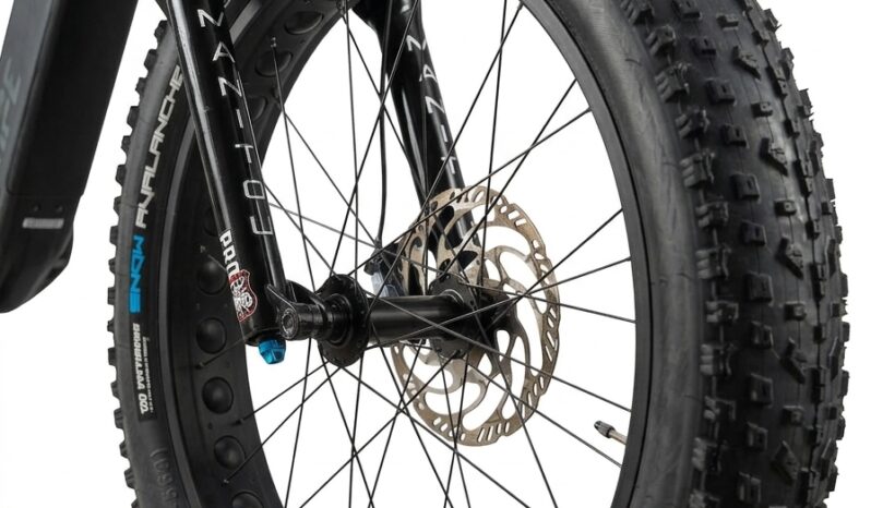 HPC Trailblazer AT – 2000W Extreme Performance Fat Enduro E-Bike (BLACK) full