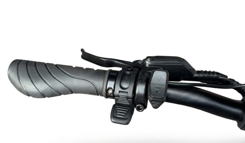 Allegro Long-Range Folding Fat-Tire E-Bike full