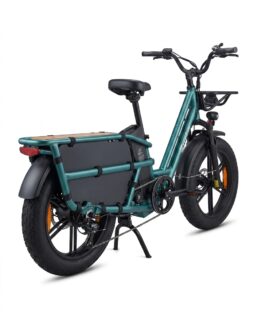 Fiido T2 Longtail Cargo E-Bike full