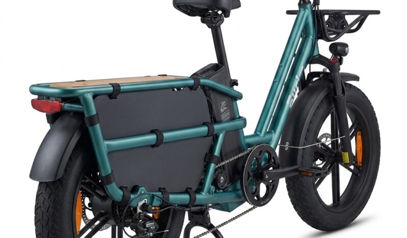 Fiido T2 Longtail Cargo E-Bike full