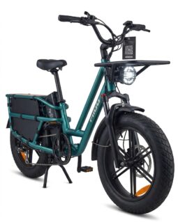 Fiido T2 Longtail Cargo E-Bike full