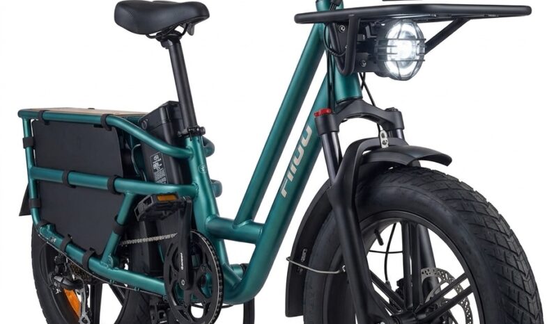 Fiido T2 Longtail Cargo E-Bike full