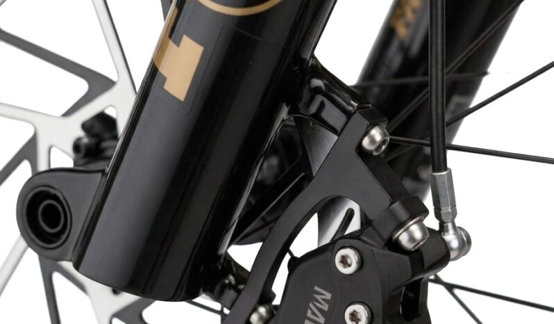 ZERODE Shadow (Pinion Gearbox / Enduro) full