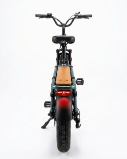 Fiido T2 Longtail Cargo E-Bike full