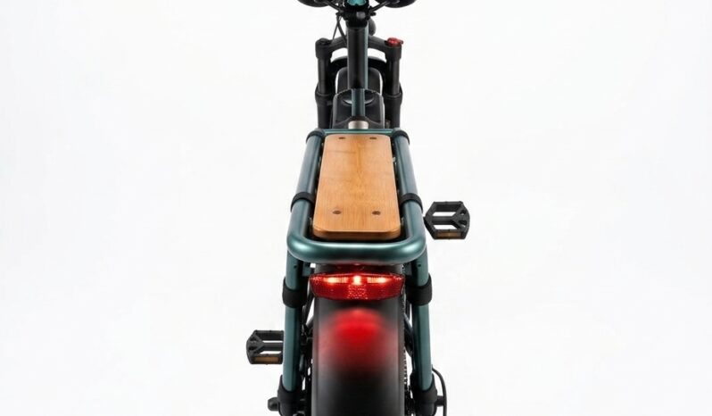 Fiido T2 Longtail Cargo E-Bike full