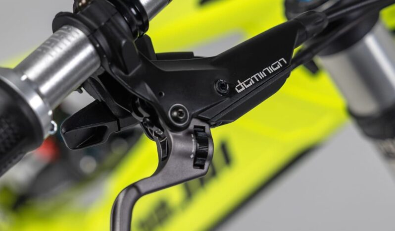 NICOLAI R20 MGU – AON Edition (Limited Downhill E-Bike) full