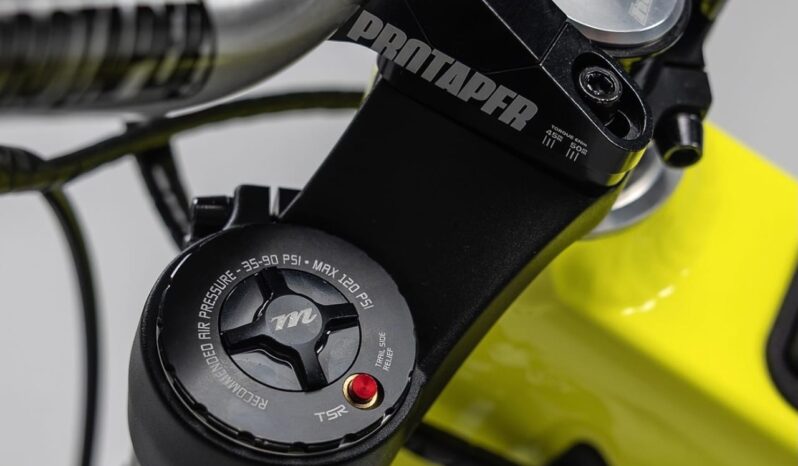 NICOLAI R20 MGU – AON Edition (Limited Downhill E-Bike) full